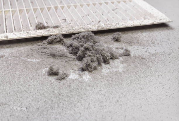 Best Best Air Duct Cleaning Company  in Algoma, WI