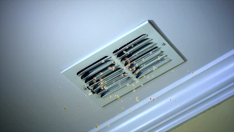 Best Best Air Duct Cleaning Near Me  in Algoma, WI