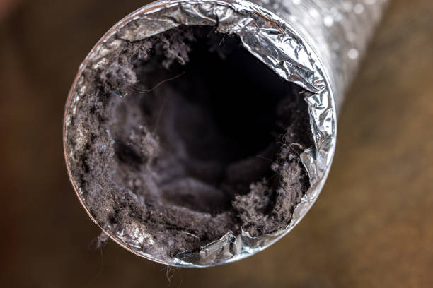 Best Duct Cleaning Specialists  in Algoma, WI