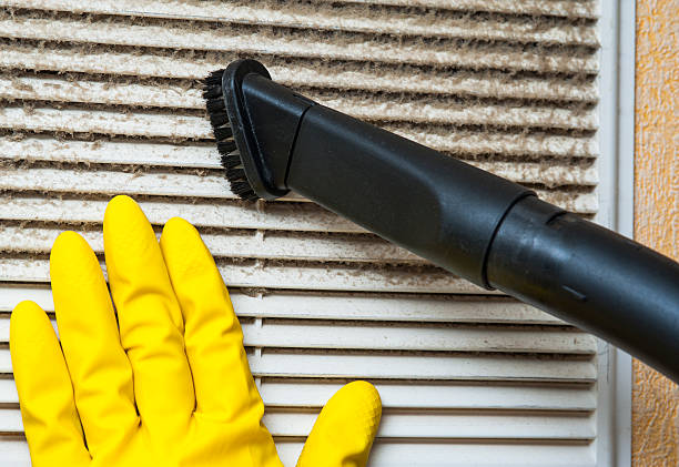 Best Air Duct Cleaning Near Me  in Algoma, WI